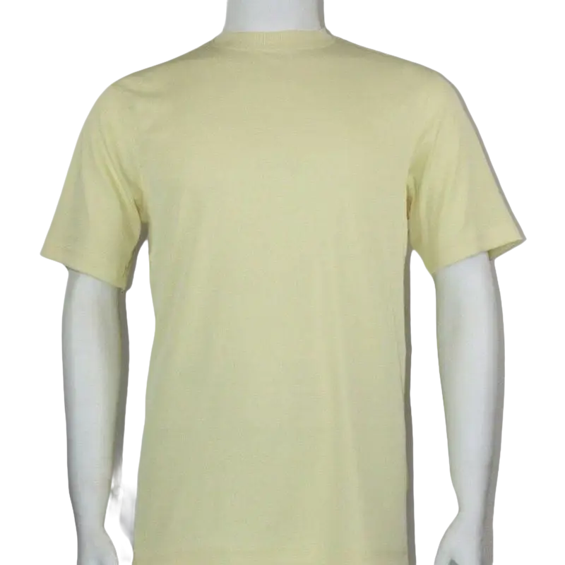 Men Dressy T - Shirt Log - In Uomo Soft Crew Neck Silky Short Sleeves 218 Butter - J.Valintin Men's Wear Legend - 25205