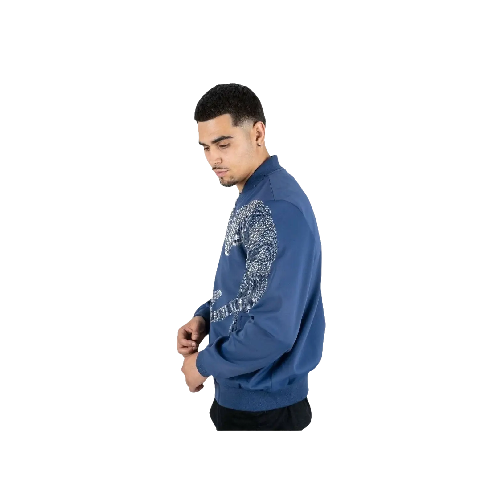 Mens Platini Bamber Jacket with Lion Rhinestone Design Zip up BMJ8133 Blue - J.Valintin Men's Wear Legend - 92083
