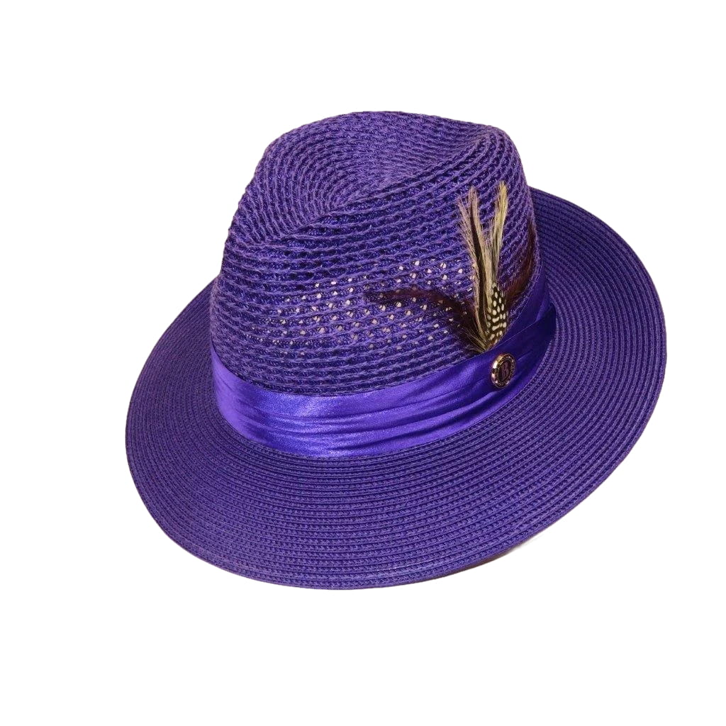 Men's Summer Spring Braid Straw style Hat by BRUNO CAPELO JULIAN JU914 Purple - J.Valintin Men's Wear Legend - Ju912 - Purple - S
