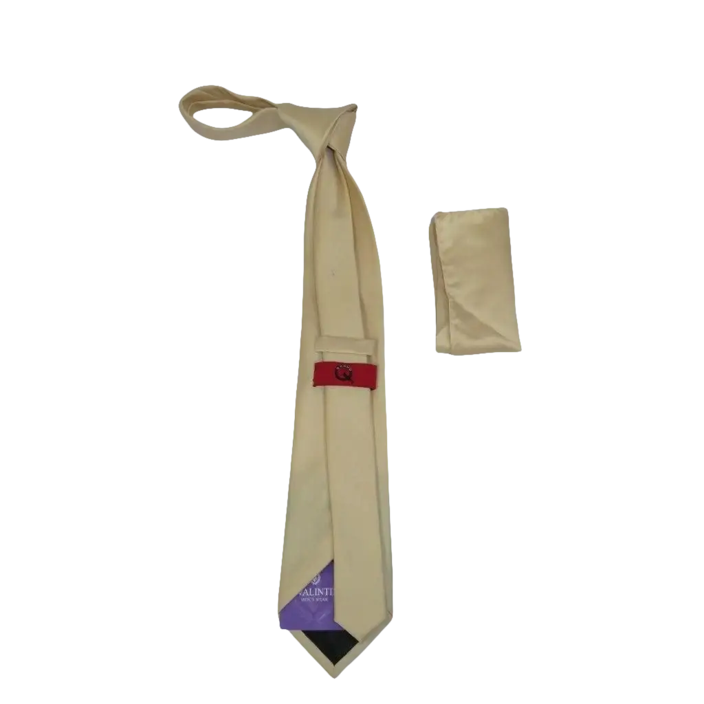 Men's Tie and Hankie Set by J.Valintin Collection #Pro4 Solid Beige - J.Valintin Men's Wear Legend - pro4 - beige